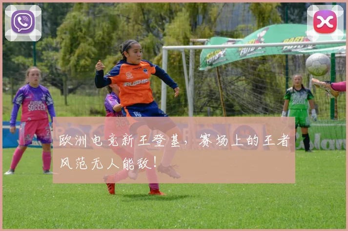 欧洲电竞新王登基，赛场上的王者风范无人能敌！