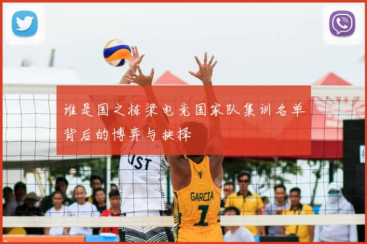 谁是国之栋梁电竞国家队集训名单背后的博弈与抉择