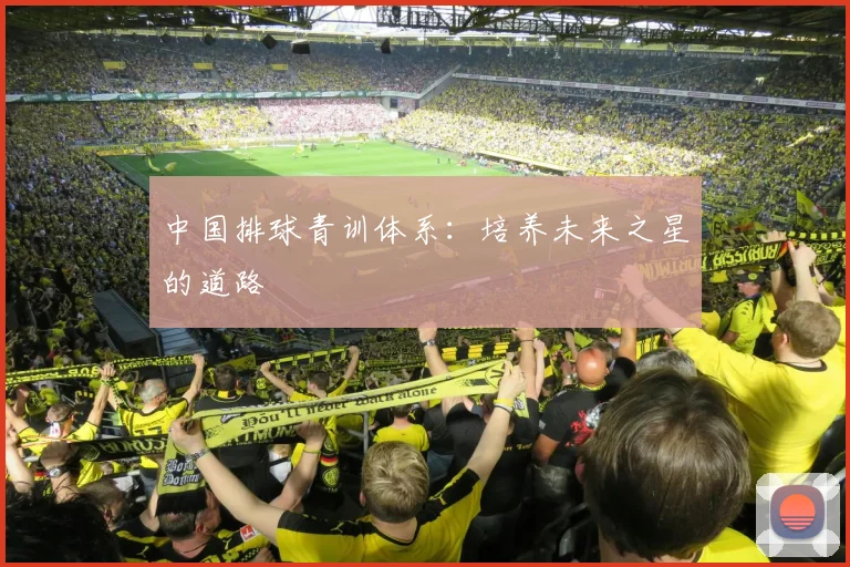 中国排球青训体系：培养未来之星的道路