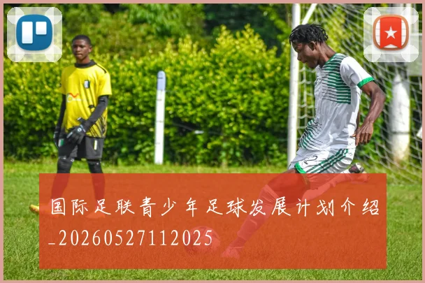 国际足联青少年足球发展计划介绍_20260527112025