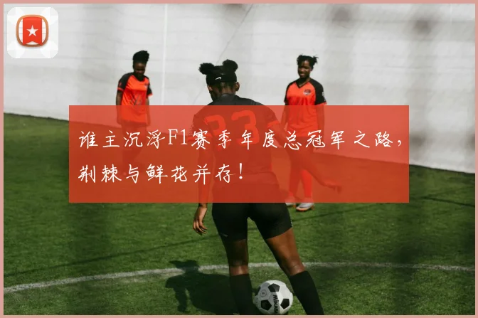 谁主沉浮F1赛季年度总冠军之路，荆棘与鲜花并存！