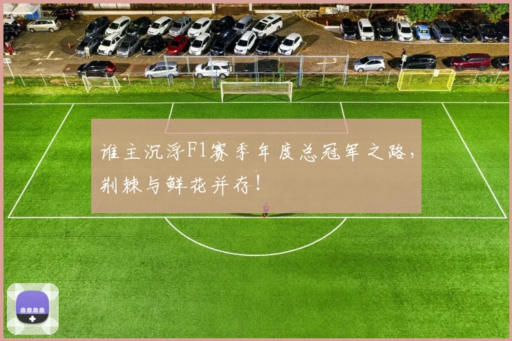 谁主沉浮F1赛季年度总冠军之路，荆棘与鲜花并存！